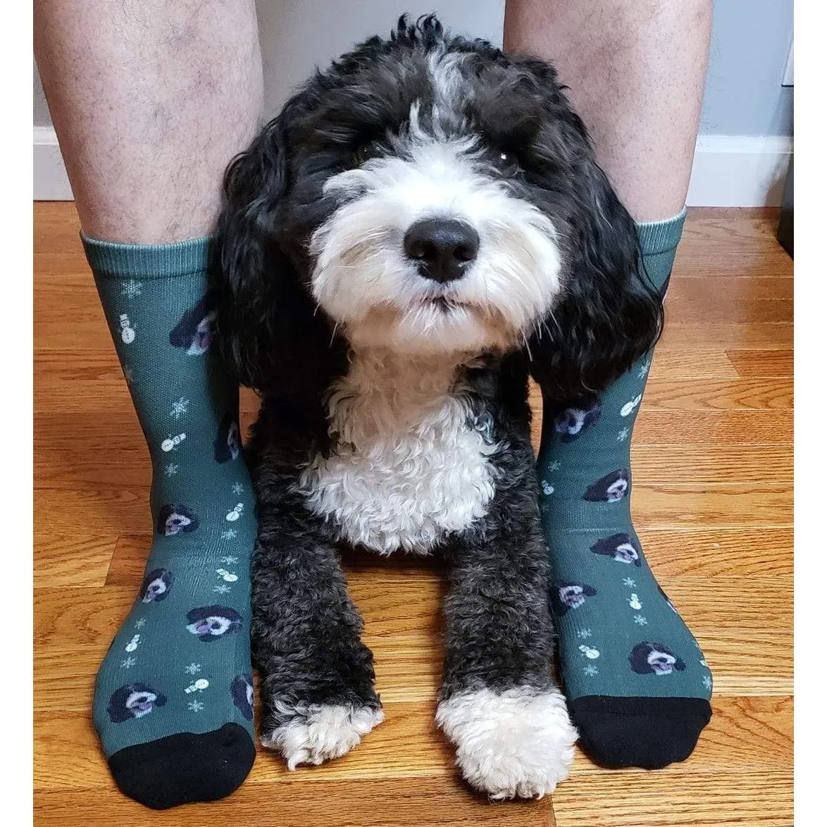 Christmas Sweater and Socks Bundle