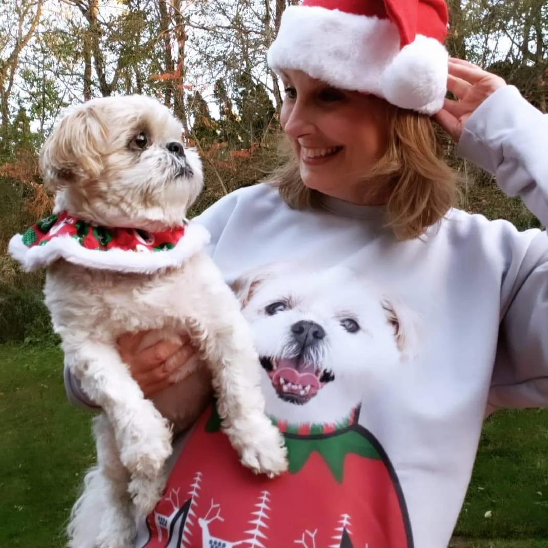 Christmas Sweater and Socks Bundle