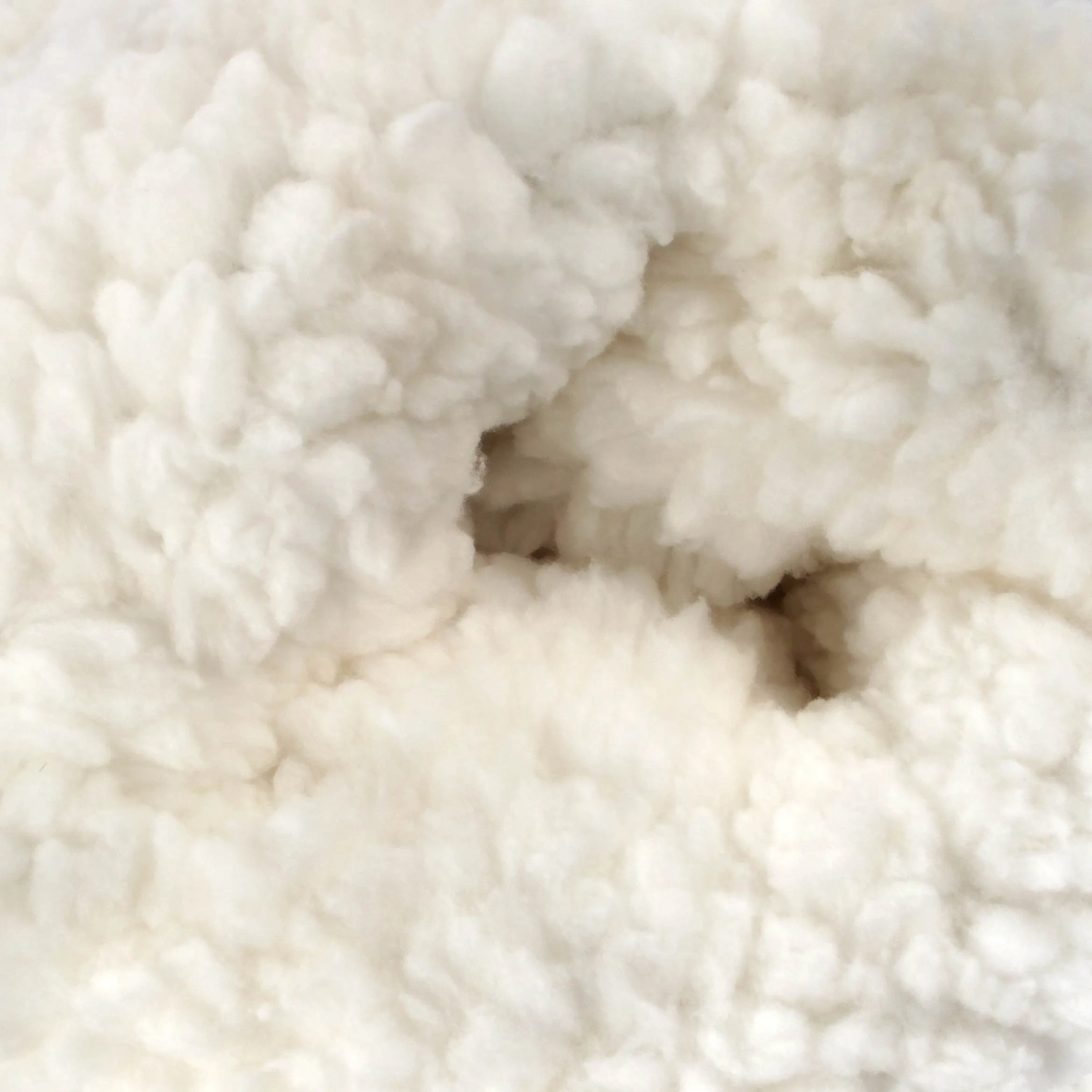 Women's Thermal Fuzzy Animal Socks
